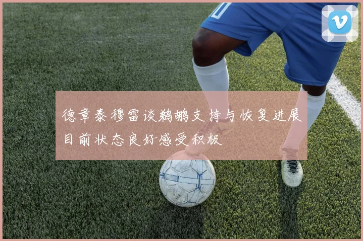 德章泰穆雷谈鹈鹕支持与恢复进展目前状态良好感受积极
