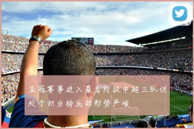 亚冠赛事进入最后阶段中超三队仍处于积分榜底部形势严峻