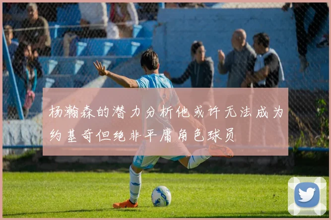 杨瀚森的潜力分析他或许无法成为约基奇但绝非平庸角色球员