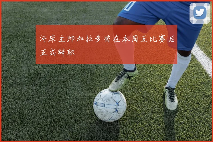 河床主帅加拉多将在本周五比赛后正式辞职